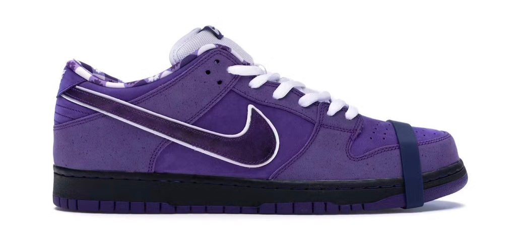 Nike SB Dunks Concept Purple