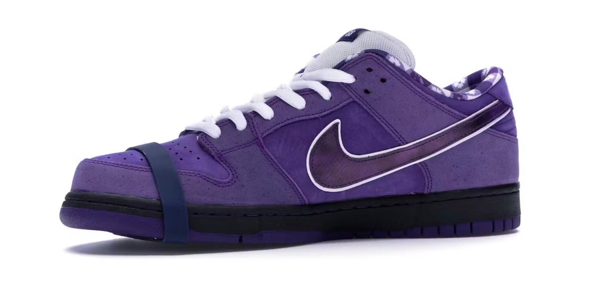 Nike SB Dunks Concept Purple