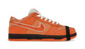 Nike SB Dunks Orange Concept